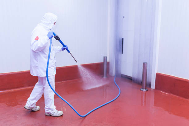 Best Roof Washing  in Newberry, SC